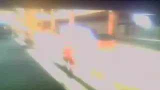 dead rising aceivment portualist