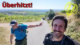Hitzeschlacht zwischen Rhein und Weinbergen - Mammutmarsch Rhein-Main 2024