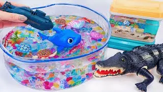 🦈Toy ASMR🦈Baby Shark & Robo Giant Black Crocodile & Aquarium & Robo Sea Animal Toys 🌟 Review Toys
