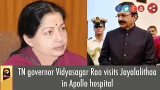 TN governor Vidyasagar Rao arrives in Apollo hospital to visit Jayalalithaa
