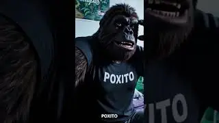Crudo con Poxito 🍻🥴 | Despertando del viernes loco