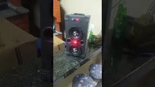 CAIXA BOB CORUJINHA 🦉