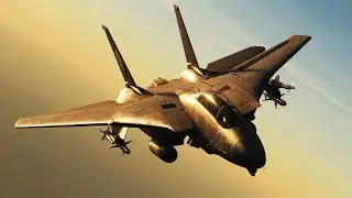 DCS | Action Montage - F14 Tomcat and F18 Hornet