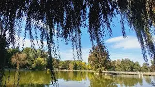 Videos from Orfu and center of szeged #europe #hungary #ofw #fypシ゚viral 