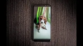 Honor 9i Camera Reivew - Impressive Setup
