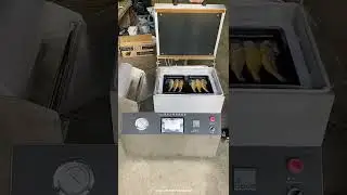 Testing video of desktop fish skin vacuum sealing machine packing machine