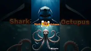 Orca vs Shark vs Crocodile Ultimate predator Battle 🔥
