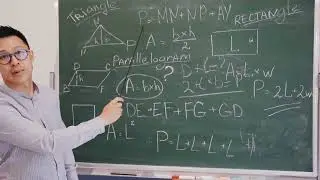 Statistics and Probability - The Mathematics of Uncertainty