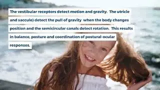 Sensory Systems