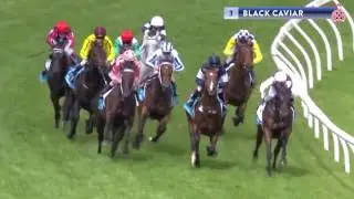 Greg Miles' Greatest Ever Horse Race: The Doxa Racing Lunch 2017
