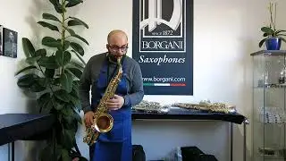 Carmelo Melilli plays Borgani Tenor Sax 