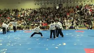 Taekwondo Demo Part 2/2 by Taekwondo Diplomacy Corp from South Korea