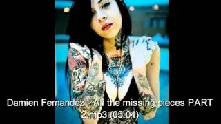 Damien Fernandez - All the missing pieces PART 2