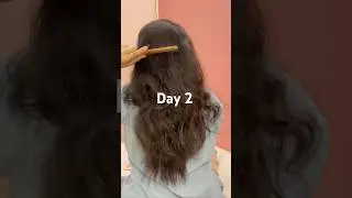 Day 2 at-home hair care challenge