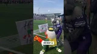 Northwestern&rsquo;s mascot trolls the Oregon Duck for losing its head a few weeks back