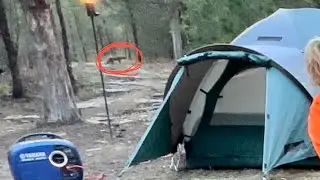 What is this?