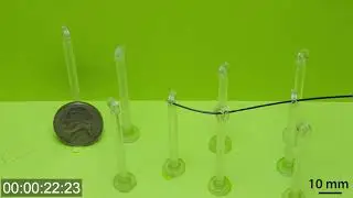 2019 Ferromagnetic soft continuum robots 2