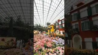 Flower Dome - Gardens by the Bay, Singapore
