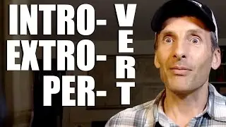 Introverts - Right-brain Dominance