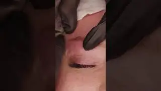 How to Build the Perfect Gradient in PMU | Eyebrow Shading Tutorial by Master Maria Plotnikova