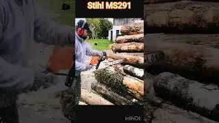 Stihl ms291 HP super czy to dobry olej? W akcji test przegląd