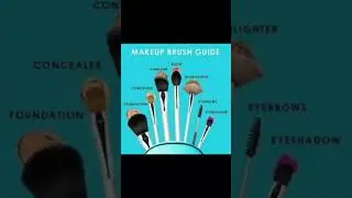 makeup brush guide ❤️#makeup#brushes#guide#trending#short#easymakeuptutorial#viral#arijitsingh #song