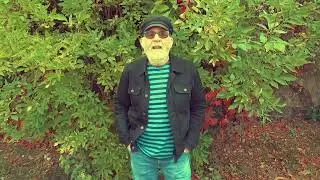 Groovy Uncle 'On A Sixpence'