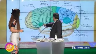 Ylli Merja: Llojet e spektrit autik dhe cila &euml;sht&euml; forma m&euml; e leht&euml;