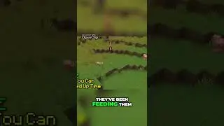 Unlock Time Control in Minecraft  Slow Down or Speed Up! #minecraft #minecraftsurviva#buriedtreasure