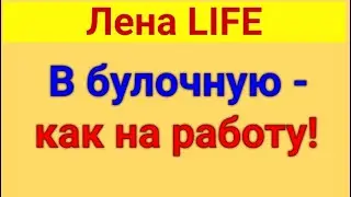 Лена LIFE. Прогулки. Отель.  19  01 2024 Лена (Eng./Germ. subtitles)