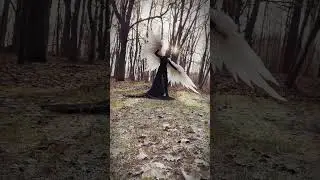 White Wings
