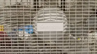 Kenmore (Lakewood) box fan destruction