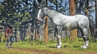 Arthur Morgan finds a beautiful Criollo horse at Upper Montana River