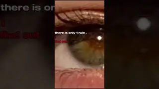 Idk how people think word doesn&rsquo;t spread