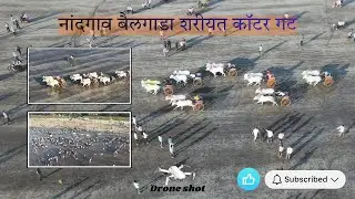 बैलगाडा शरीयत कॉटर गट l 16.01.2026 l Drone shot