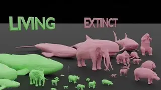 Largest Living vs Extinct Animals ll 3d Animation
