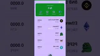 we start the pepe wallet project