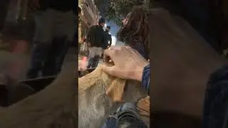 कथा ।  soloest busker artist - anshul riaji