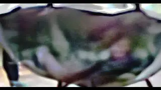 KENNEKA JENKINS IF YOU THINK THE FOOTAGE ISNT EDITED THIS IS PROOF IT IS + ARE THESE KIDS THEY HAVE!
