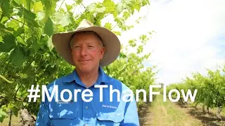 St George grape and wine producer David Blacket on why he supports #MoreThanFlow
