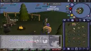 Almost Back to Back Golden Tench