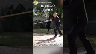 Tai Chi Stick