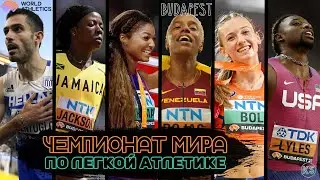 ВЛОГ 