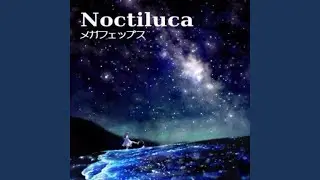 ノクティルカ