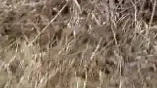 V010309 16 54