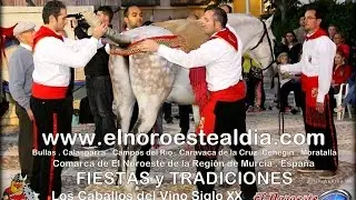 2016_04 Como se viste un Caballo Jornada Cultural Los Caballos del Vino Caravaca de la Cruz zAkAtYn👀