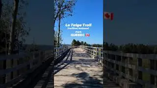 La Taiga Trail🚶&zwj;♀️👣 ⛰️ Quebec 🇨🇦 #shorts #quebec #parkscanada #outdoors