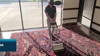 Angel Dry | Persian Rug Cleaning Service