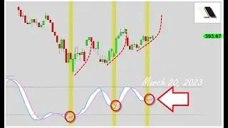 S&P 500: The Oscillator Cross |  Kay Kim