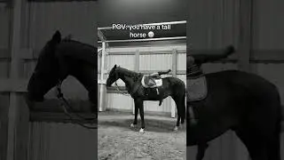 😭😂 #horse #equestrian #лошади #pony #рек #рекомендации #shorts #funny #sad #смешно #актив #edit